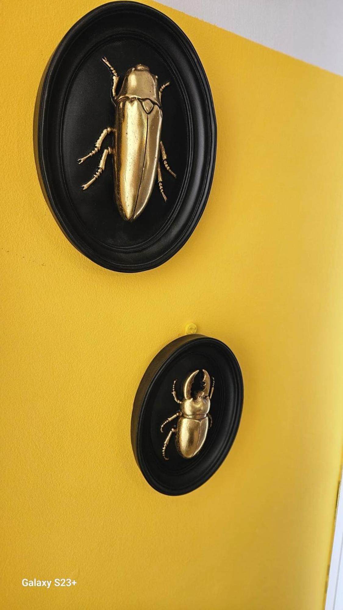 Yellow Apartment *